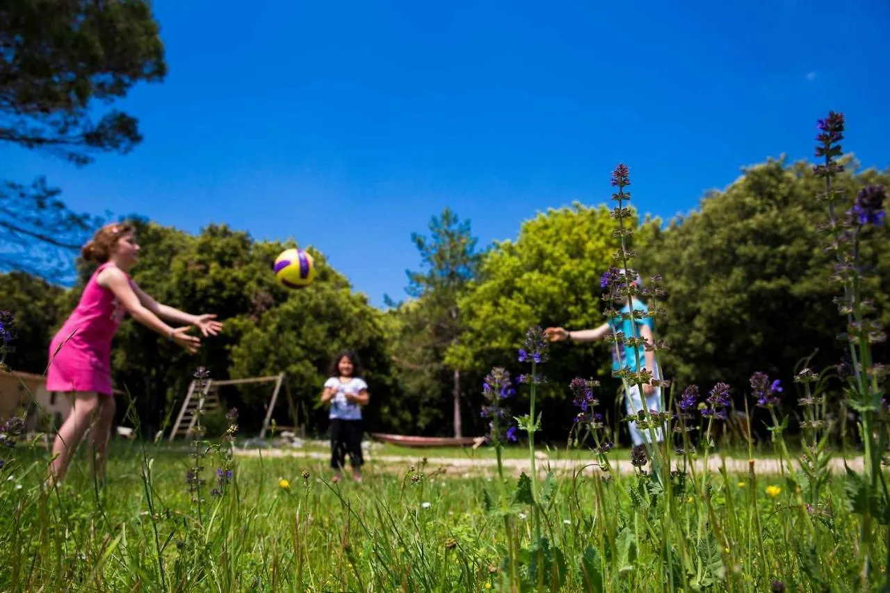 Camping Mille Etoiles Labastide-de-Virac 0*,
